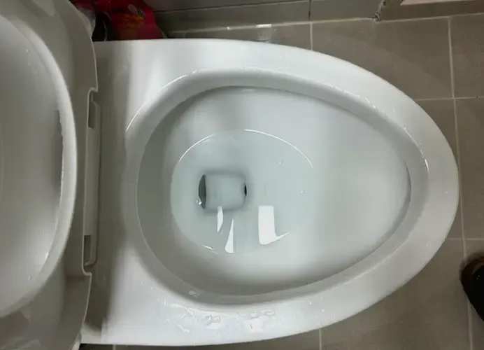 단순 휴지 막힘