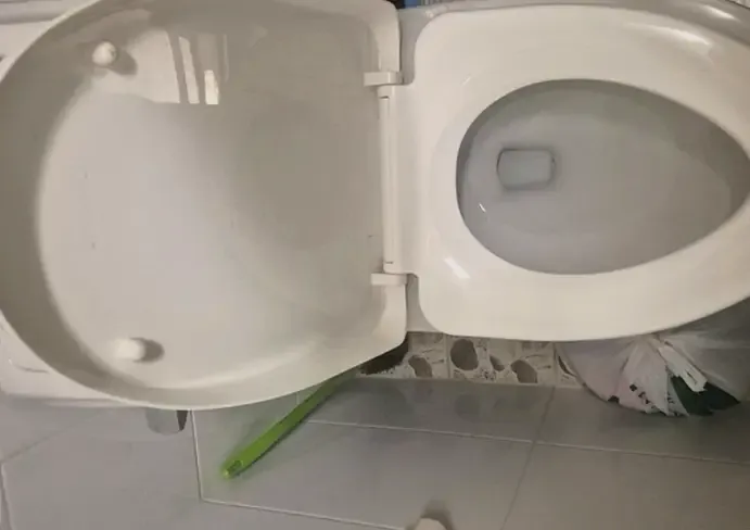 변기 막힘