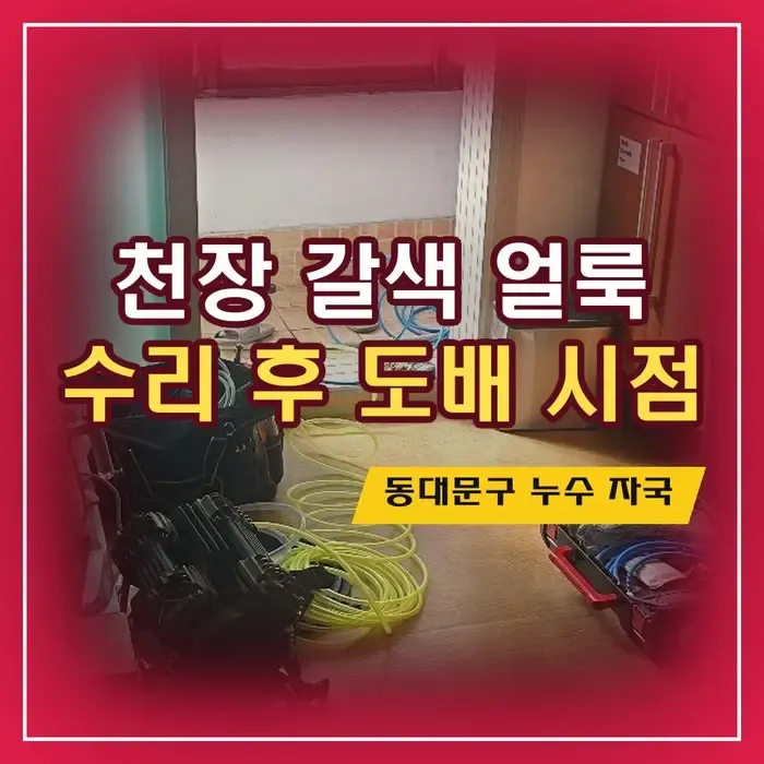 동대문구 천장 누수 자국, 갈색 얼룩은 어떻게 없앨까 (난방 동배관 크랙 수리 후 건조·도배)