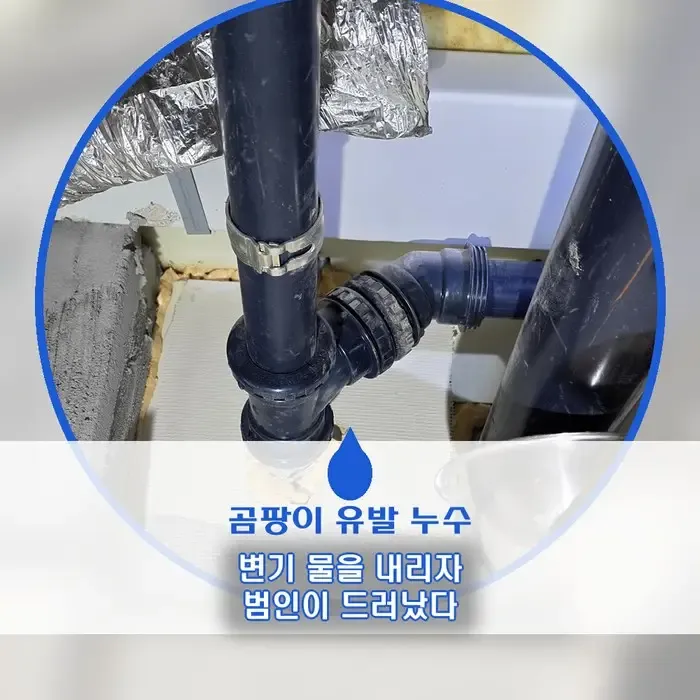 화장실 천장 누수 곰팡이, 변기 물을 내리자 범인이 드러났다