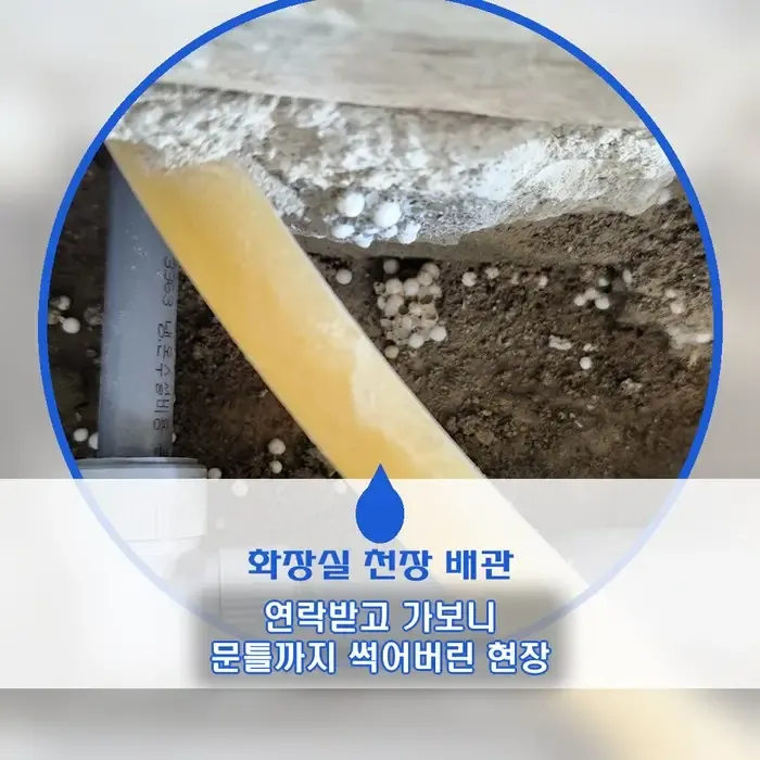 화장실 천장 누수 연락받고 달려갔더니… 문틀까지 썩어버린 역대급 상황