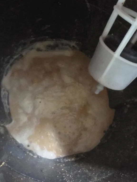 대전 단독주택 싱크대 역류, 하부장까지 번진 물의 원인은 배수관 막힘