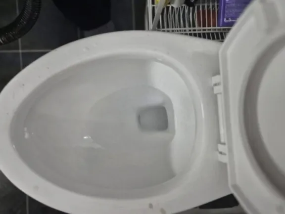 의정부시 변기 막힘 역류, 뚫어뻥으로 안 뚫리고 오수가 넘친 원인은 물티슈